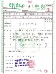 뉴스