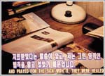 뉴스