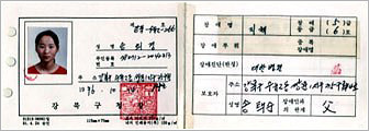 뉴스