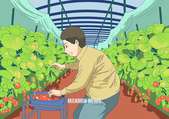 뉴스