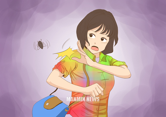뉴스