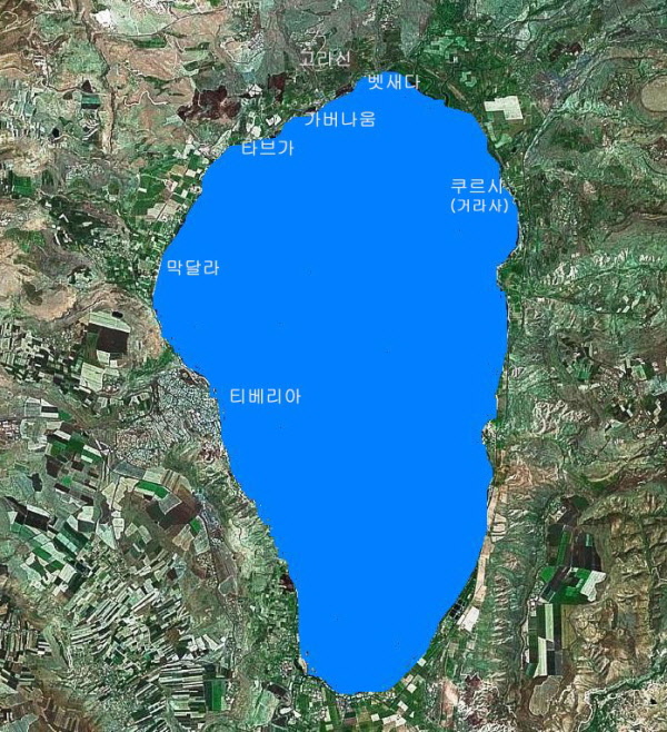 뉴스