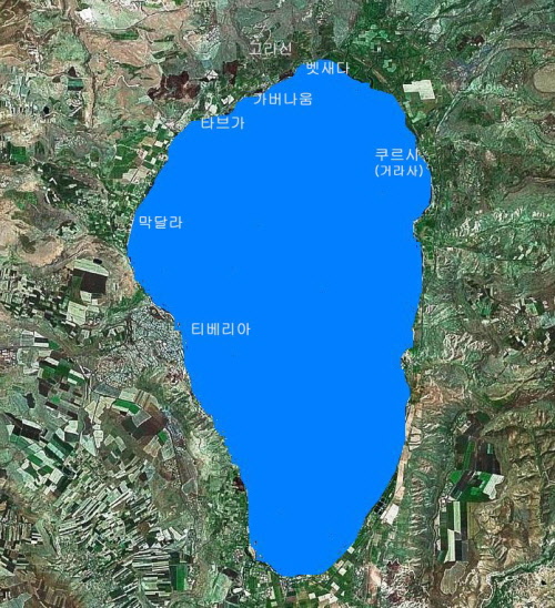 뉴스